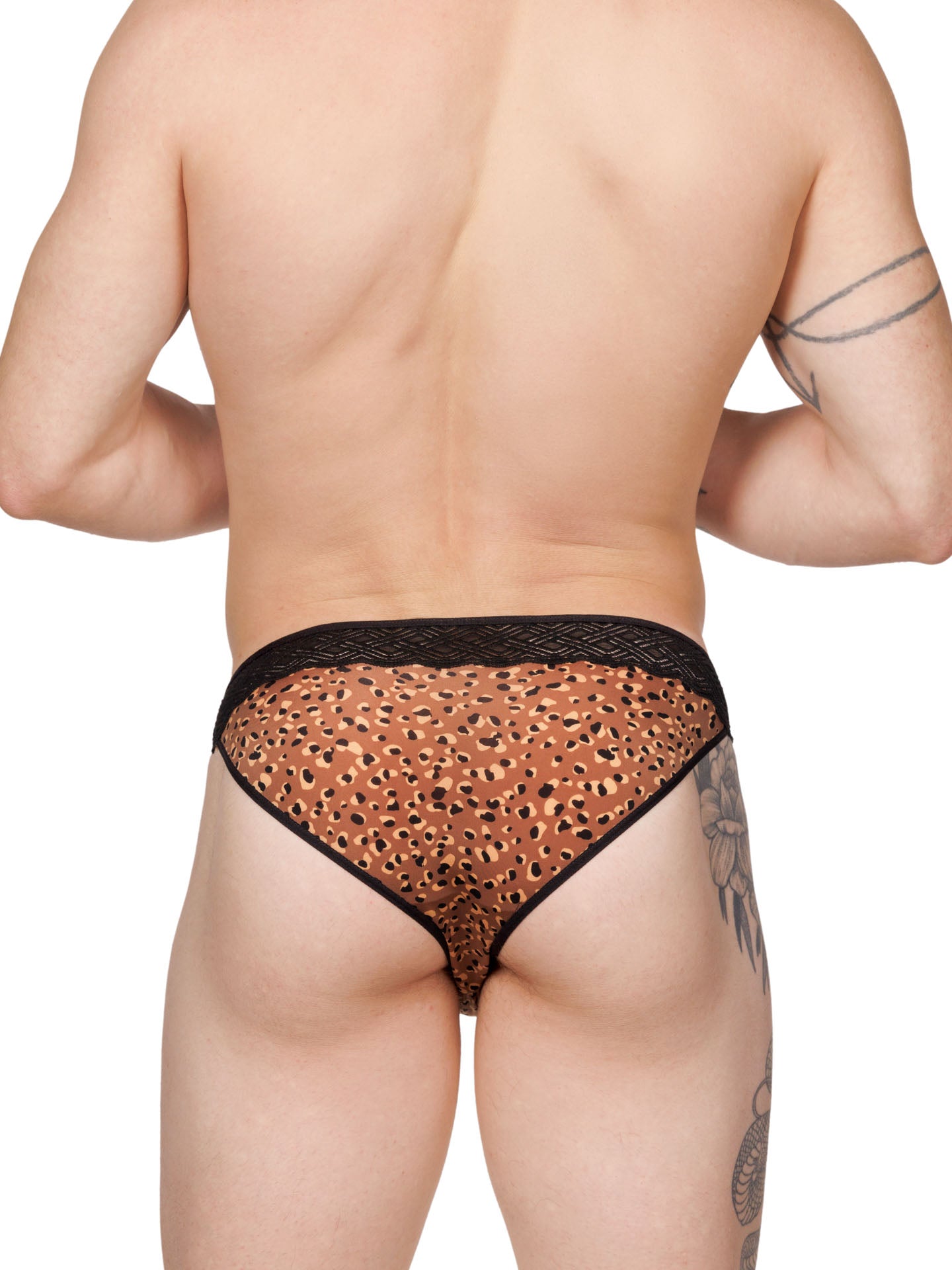 Back view of a male model wearing XDress lace panties with leopard print pattern