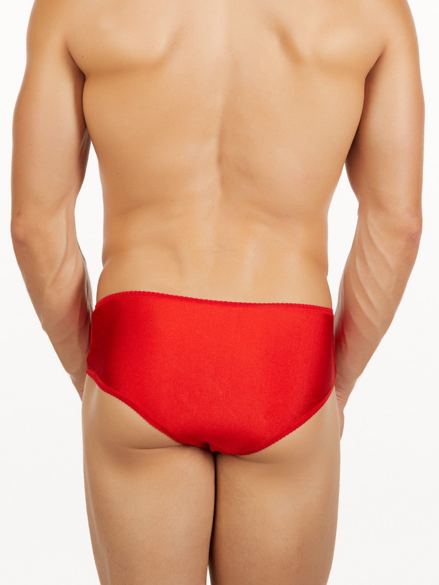 Men's Lace And Rayon Briefs